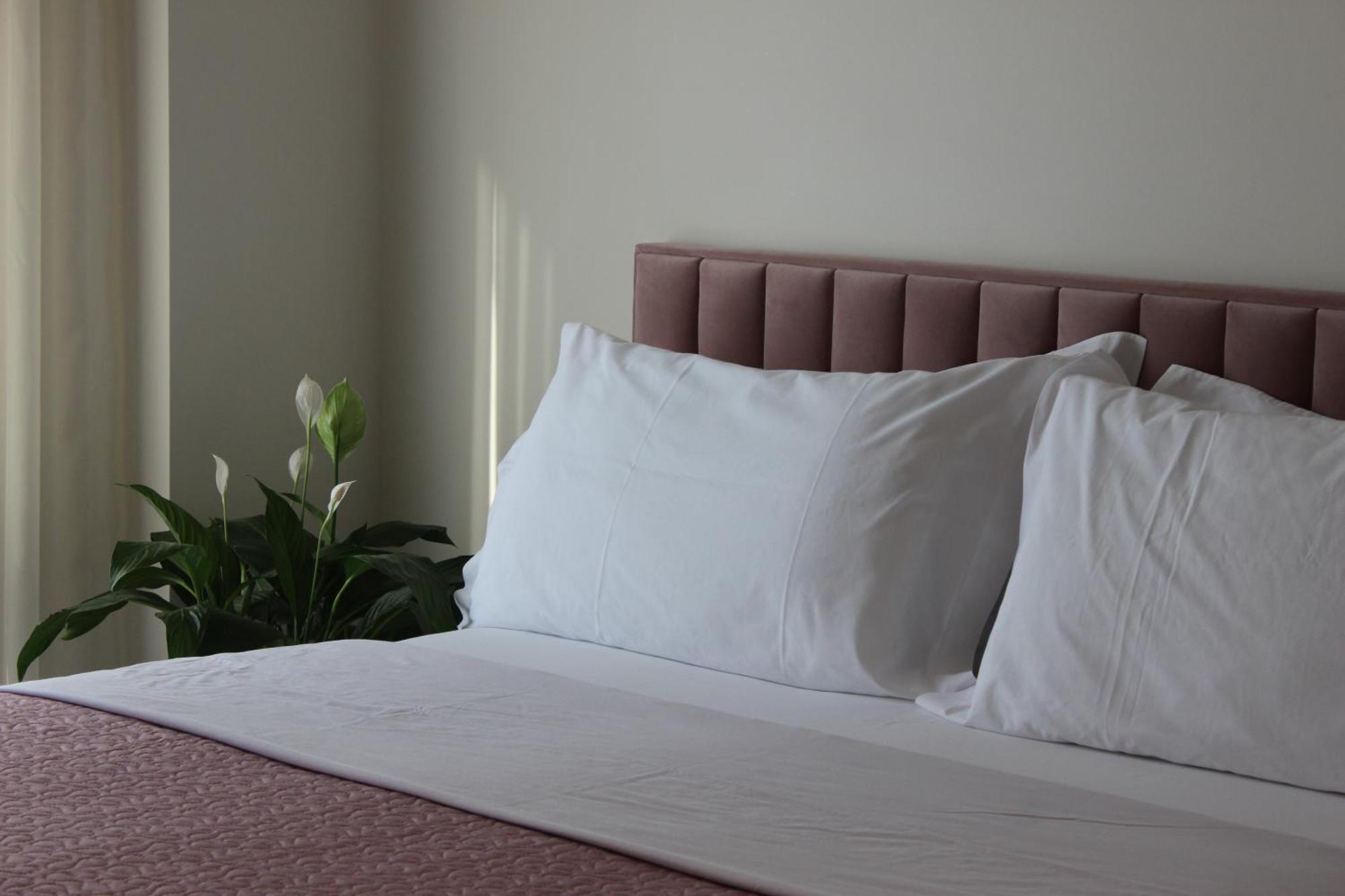 Delight Apartment Tirana Zewnętrze zdjęcie